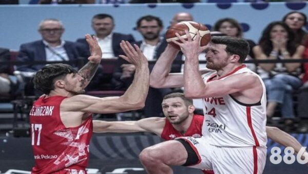 2026世界杯333体育广告赞助：背后数据揭示了什么？