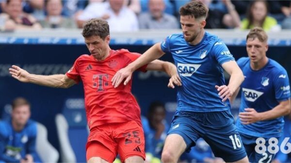 威廉希尔与365关系究竟如何？深入解析背后真相